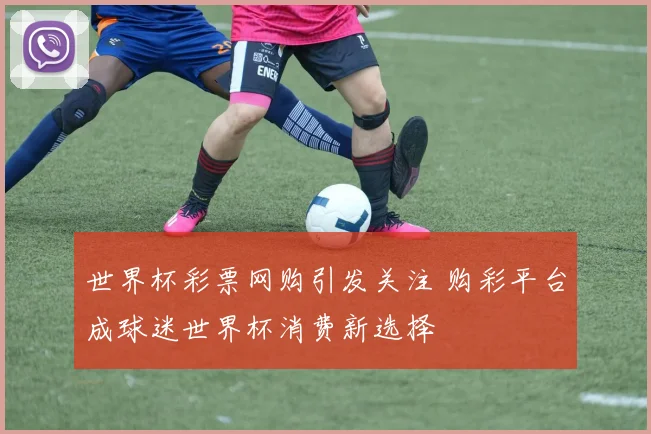 世界杯彩票网购引发关注 购彩平台成球迷世界杯消费新选择